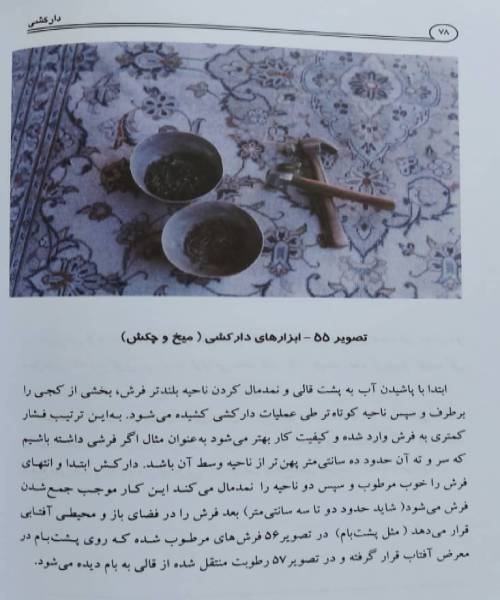  دارکشی 2